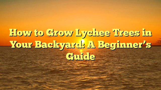 How to Grow Lychee Trees in Your Backyard: A Beginner’s Guide